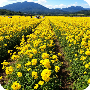 삼락생태공원 이미지