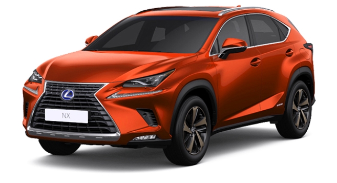NX300h 색상코드 - BLAZING CARNELIAN CONTRAST LAYERING(색상코드 : 4Y1)