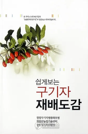 구기자 재배 삽목 번식 가지치기 건조 보관_3