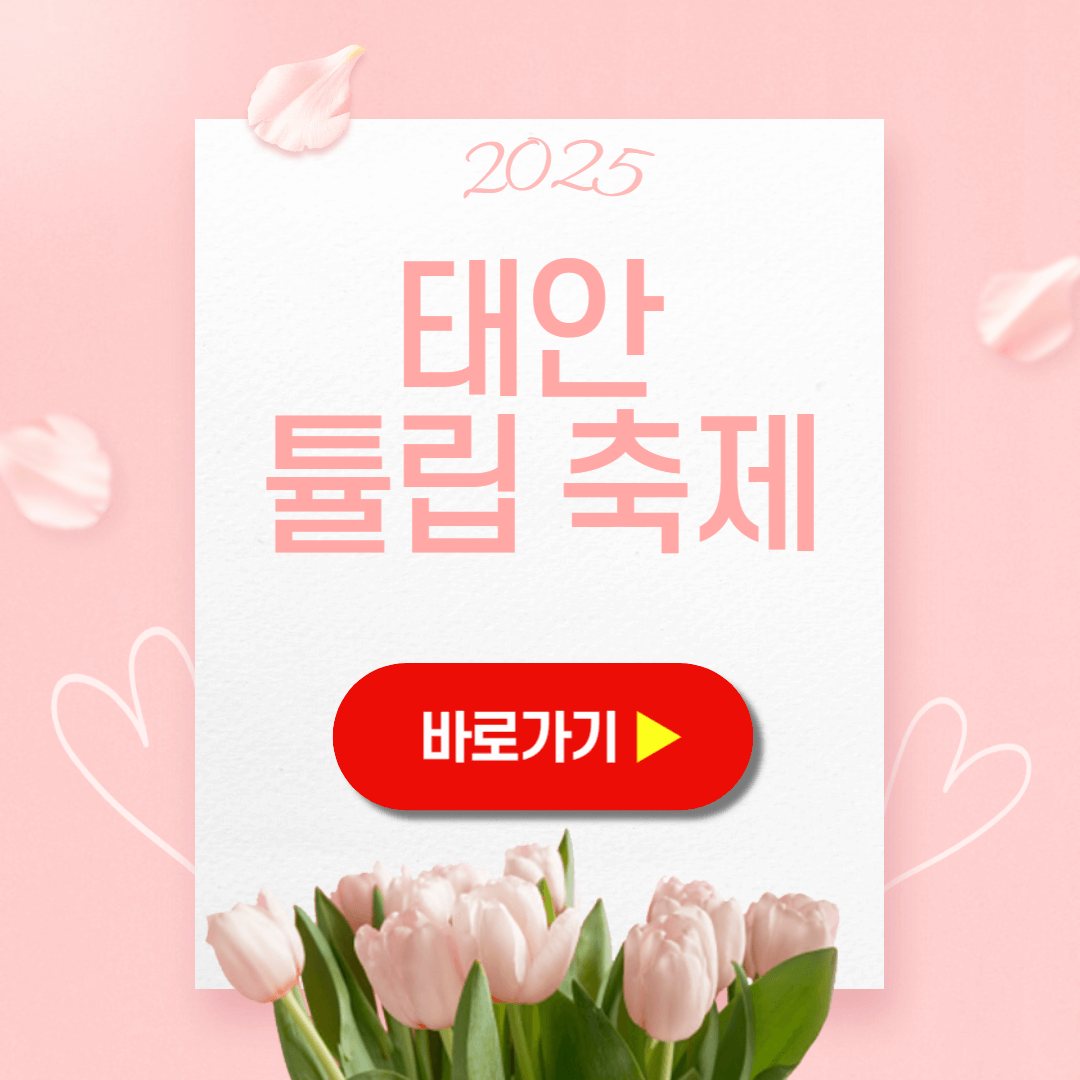 태안 튤립축제