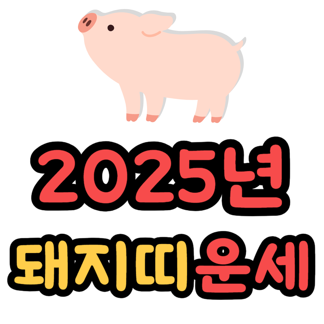 돼지띠 2025년 운세