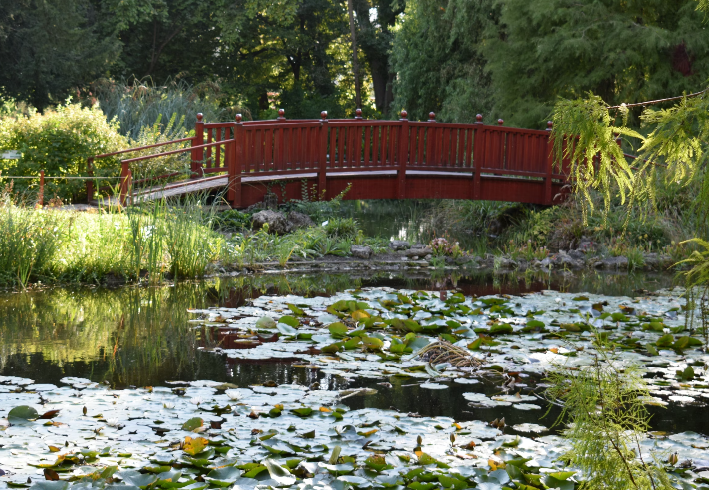 연못-위-빨간-다리-사진