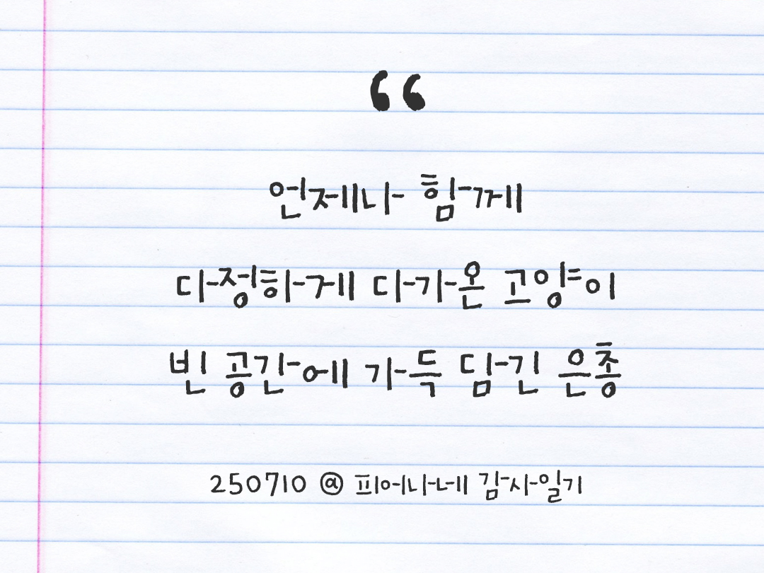 25년 7월 10일 오늘 내 마음 기록하기 감사노트, 감사를 통해 발견한 행복, 오늘 감사한 순간들 by 피어나네 감사일기
