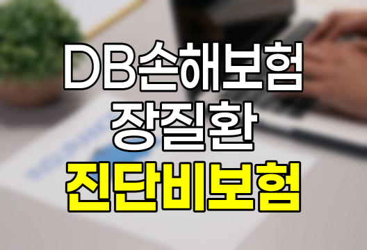DB손해보험 주요 장질환진단비 보험 상세 안내 및 보장내용