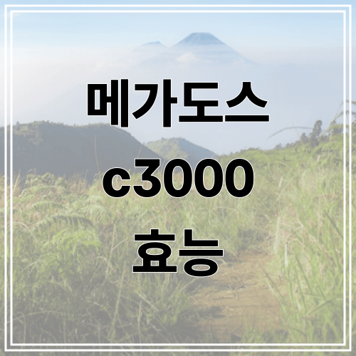 메가도스 c3000 효능