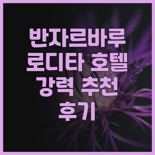 반자르바루 호텔 추천! 로디타 반자르