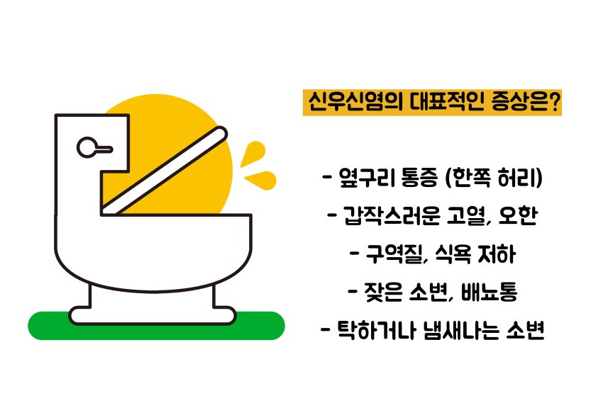 신우신염 증상