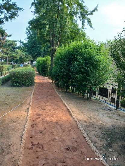 송파구 풍납토성 황톳길 맨발 걷기 코스