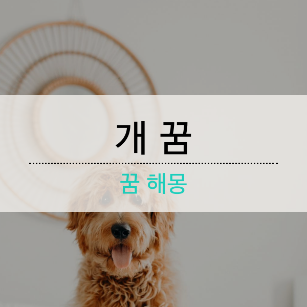 개 꿈 - 꿈 해몽