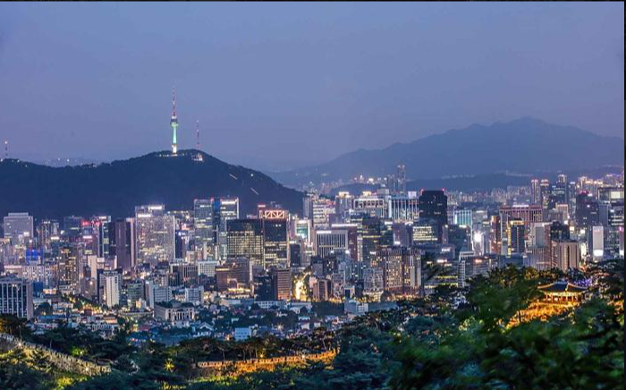 장항 맥문동 꽃축제