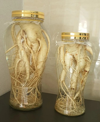 인삼 담금주 사진