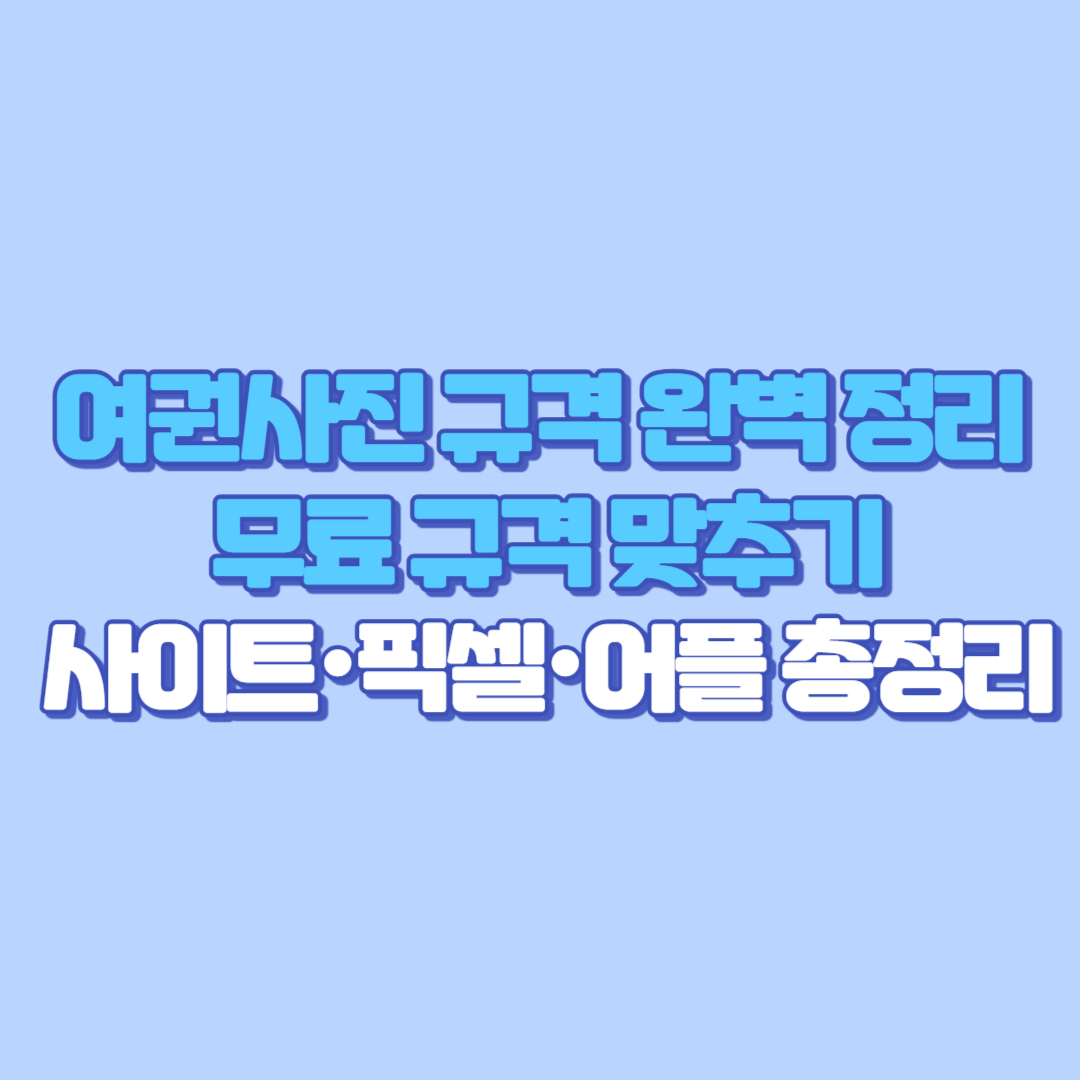 여권사진 규격 완벽 정리 무료 규격 맞추기 사이트·픽셀·어플 총정리
