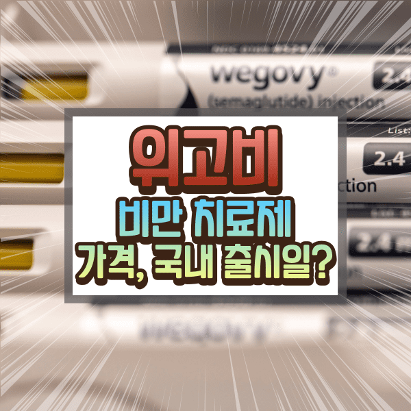 위고비에 대하여