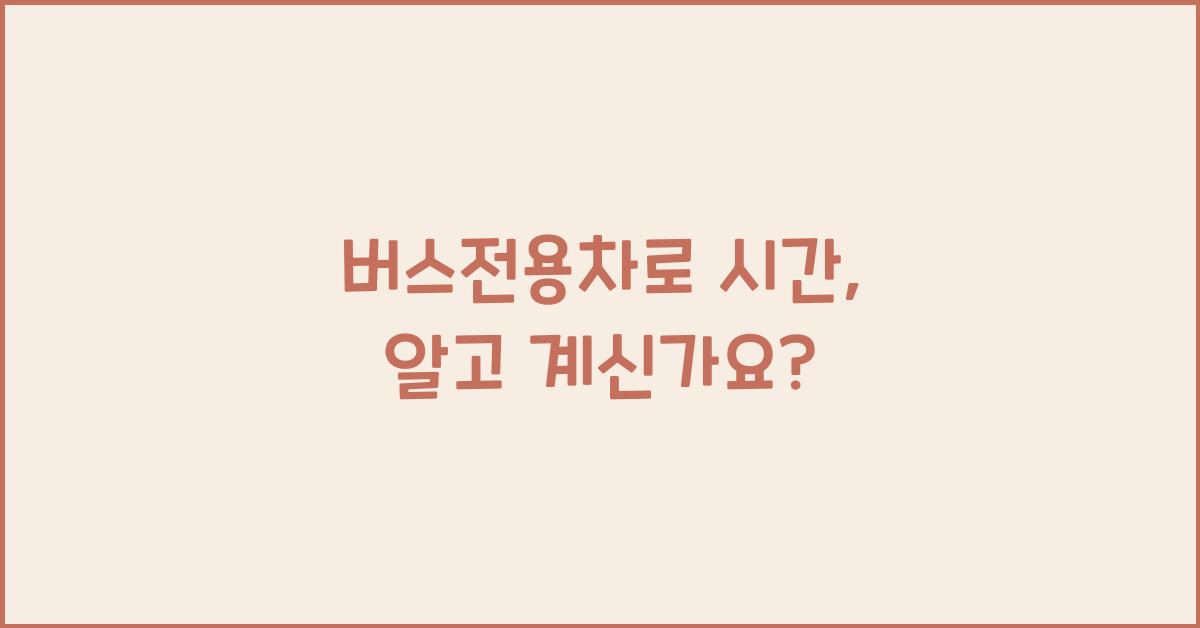 버스전용차로 시간