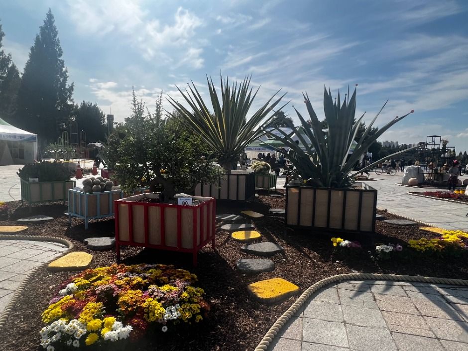 선인장&다육식물展, 선인장 다육식물 연구소, 희귀 선인장, 희귀 다육이