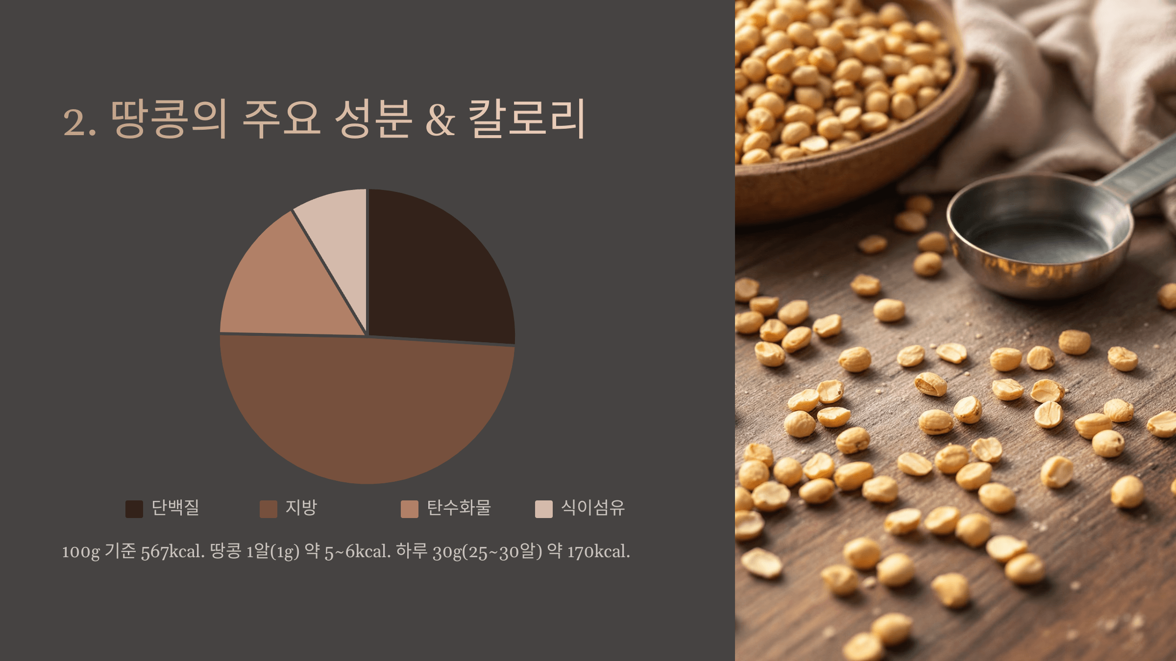 땅콩 사진입니다.