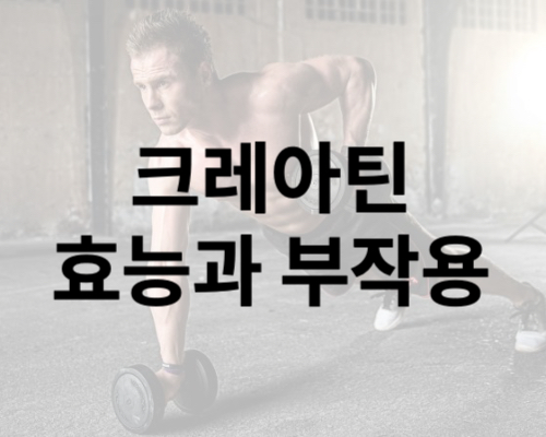 크레아틴 효능과 부작용