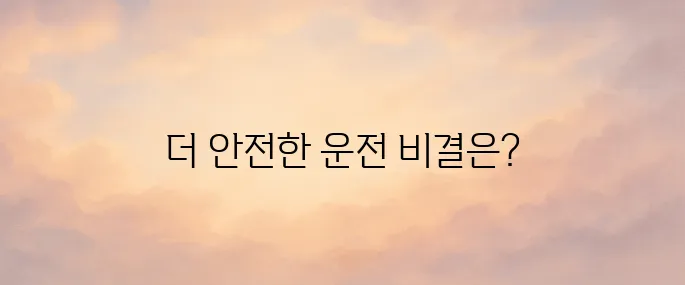 아이나비 블랙박스 홈페이지 (www.inavi.com/products/blackbox)