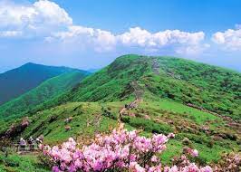 2024 영주 소백산철쭉제 기본일정과 프로그램 정리 경서 이세벽 노을 문초희 출연