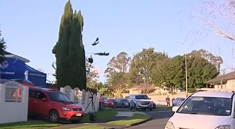 뉴질랜드 이미지사진