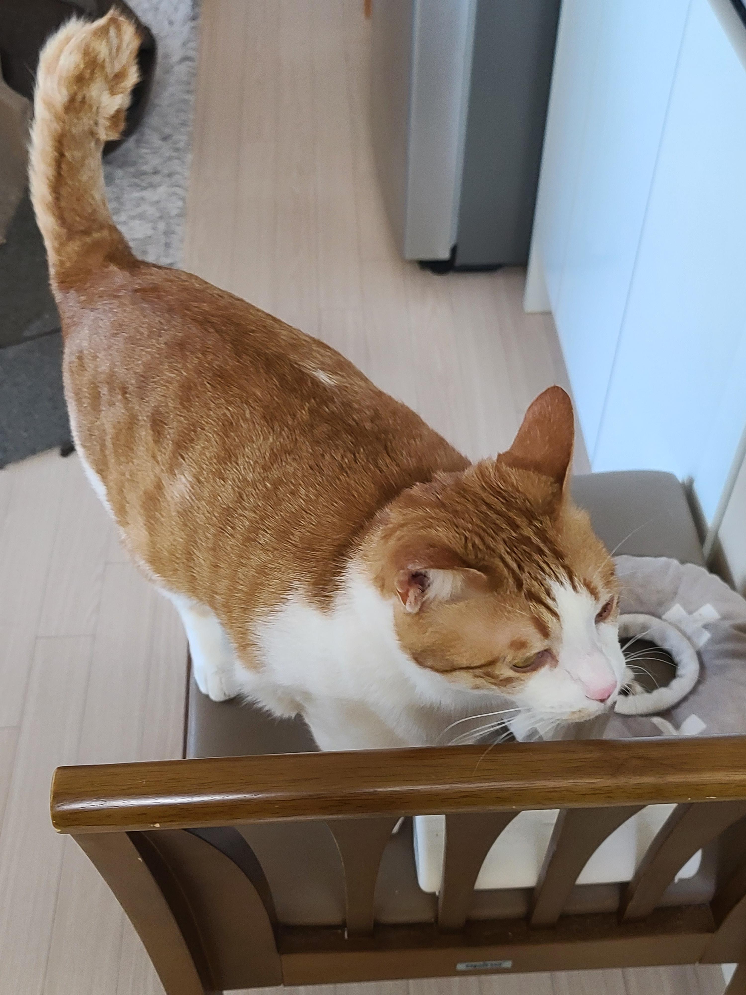 안아달라 칭얼대는 막둥이