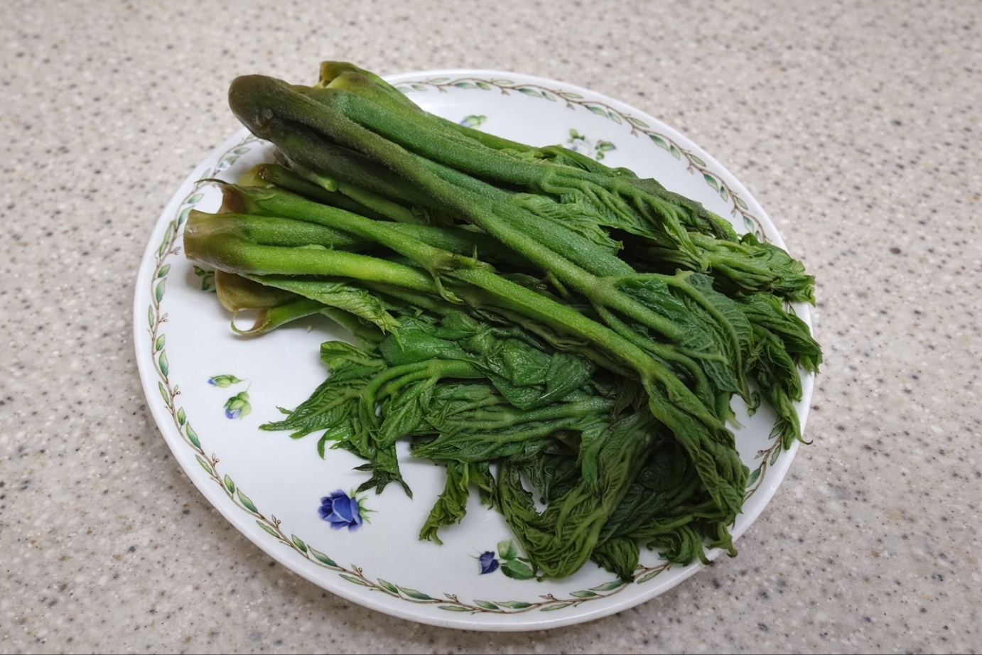 두릅 고르는법 손질법 보관법 봄 제철 두릅 제대로 먹는 방법