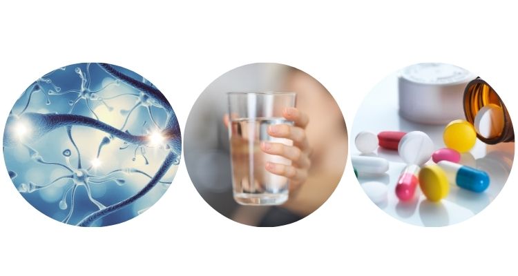 저혈압 원인 수분부족 약물 자율신경계 이상