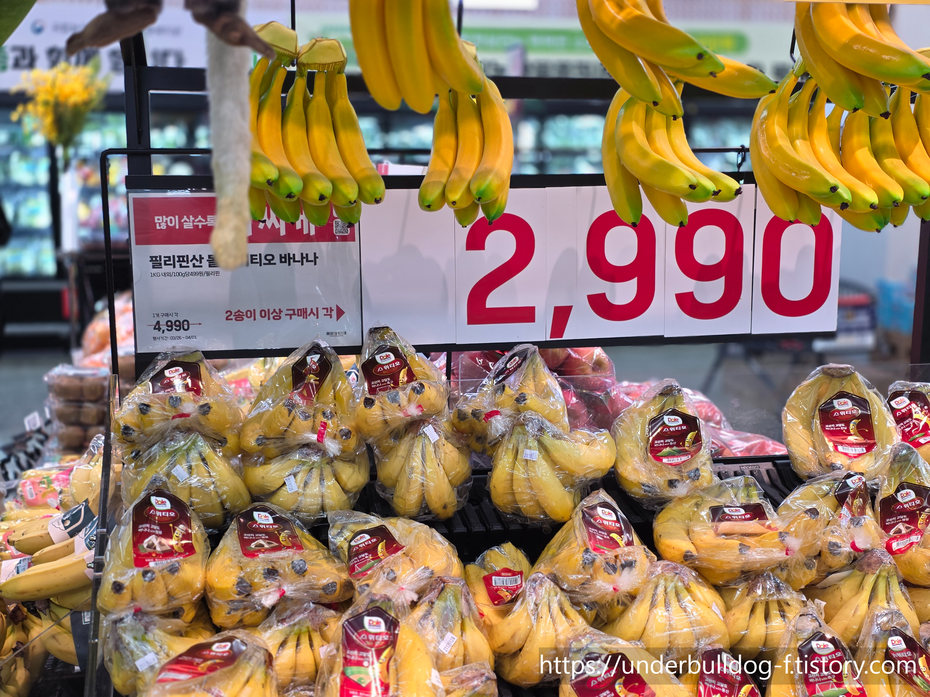 롯데 아울렛 청주점 바나나