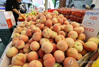 미국 관세협상 농산물 개방