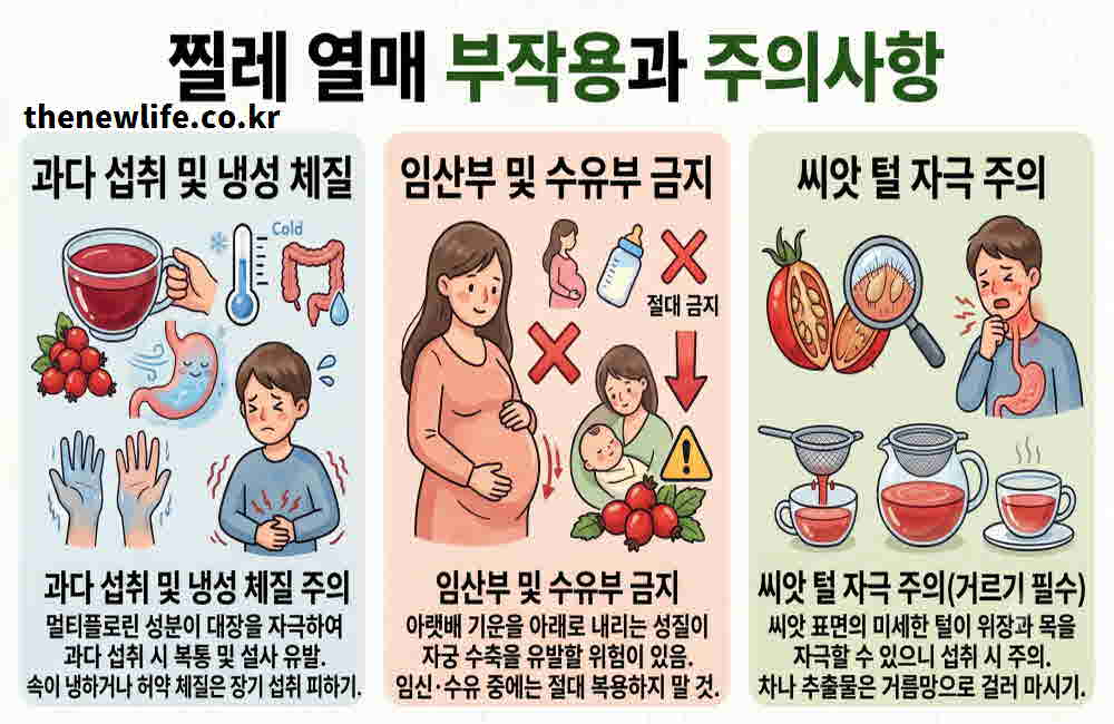 찔레 열매 효능 부작용