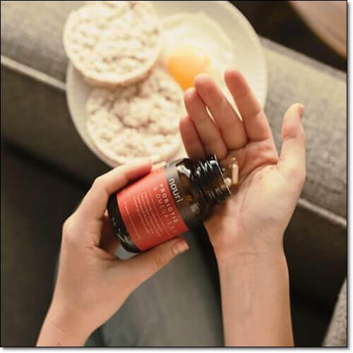 락토바실러스 발효물 프로바이오틱스 보충제