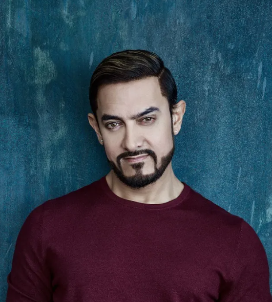 턱수염이 멋있는 아미르칸감독 사진