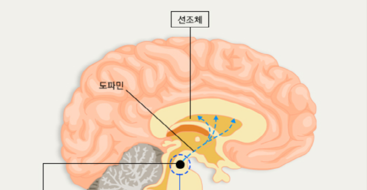 도파민 중독