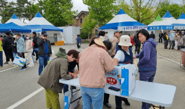 홍천 산나물 축제