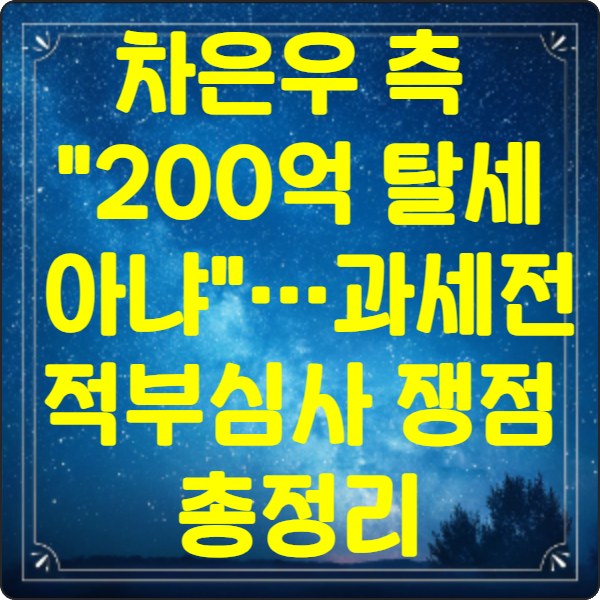 차은우 -측- 200억- 탈세 아냐…과세전- 적부심사 -쟁점 -총정리
