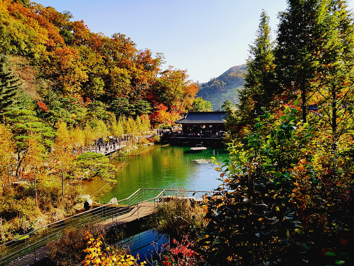 경기도 광주 곤지암 화담숲 단풍시즌&amp;#44; 가을 풍경 퍼레이드와 주변 맛집