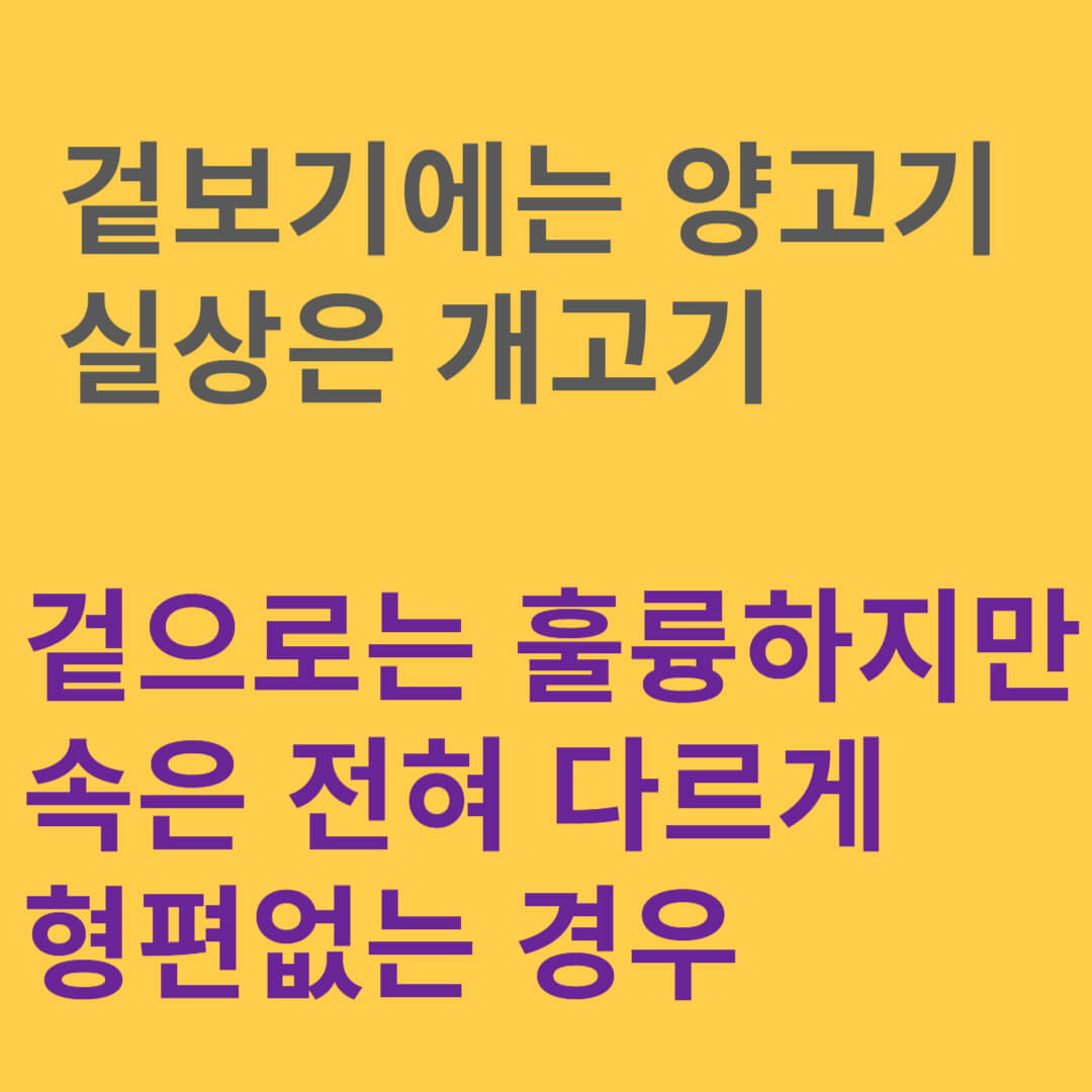양두구육 뜻 한자 유래 교훈