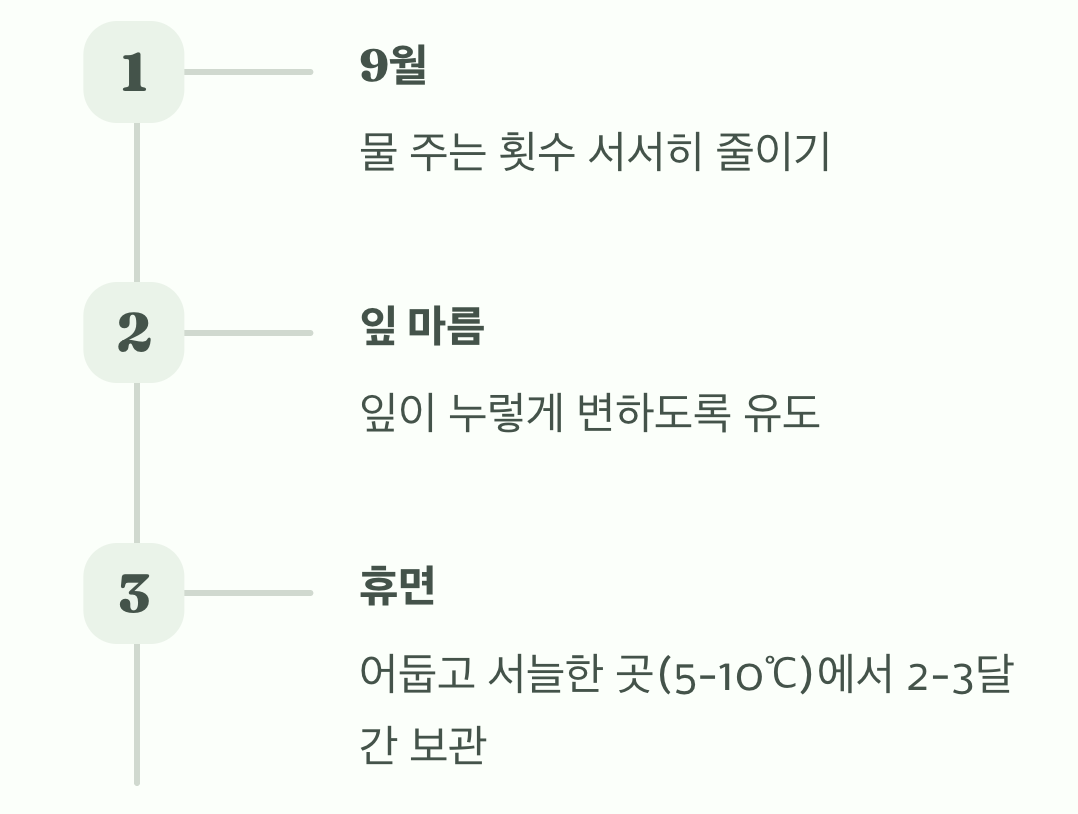 내년을 위한 약속&amp;#44; &amp;#39;휴면&amp;#39;이라는 겨울잠
