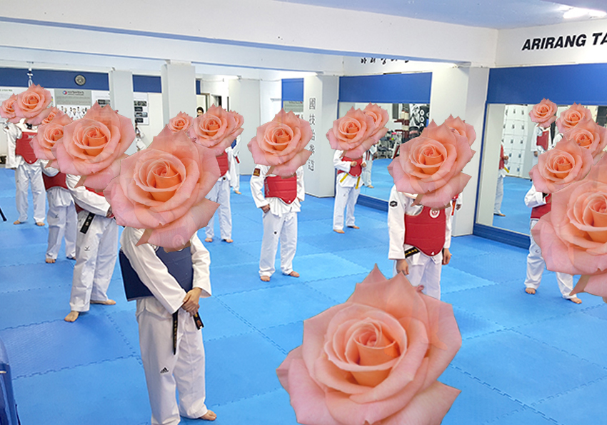 꽃보다 태권도 장미(Rose)