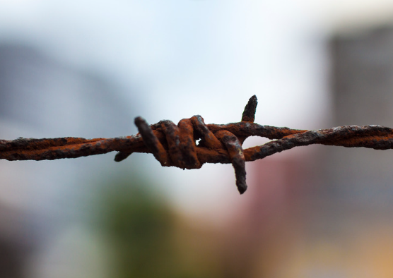 파상풍 초기증상과 원인 예방방법 주사가격 알아보기