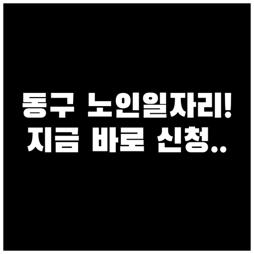 광주 동구 시니어클럽 노인 일자리 정..