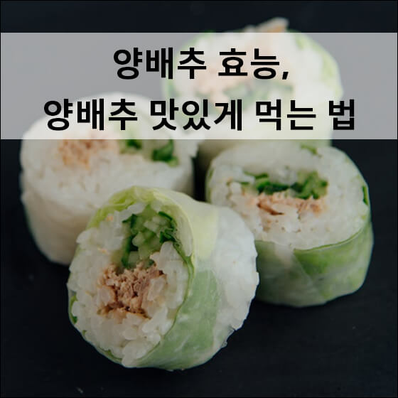 양배추 롤