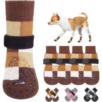 고양이가 발 핥는 이유_6