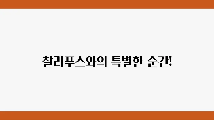 찰리푸스 내한 공연 정보 및 일정 안내