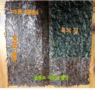 울릉도-돌김-차이점