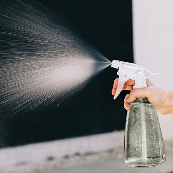 러브버그 제거방법