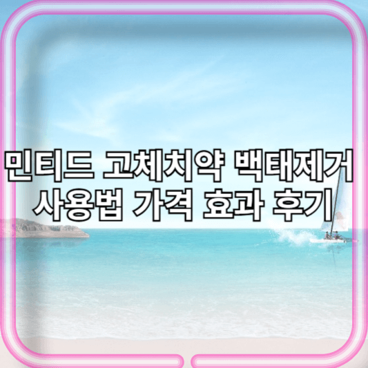 민티드 고체치약 백태제거 사용법 가격 효과 후기