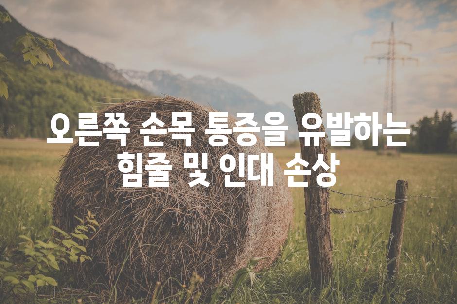 오른쪽 손목 통증을 유발하는 힘줄 및 인대 손상