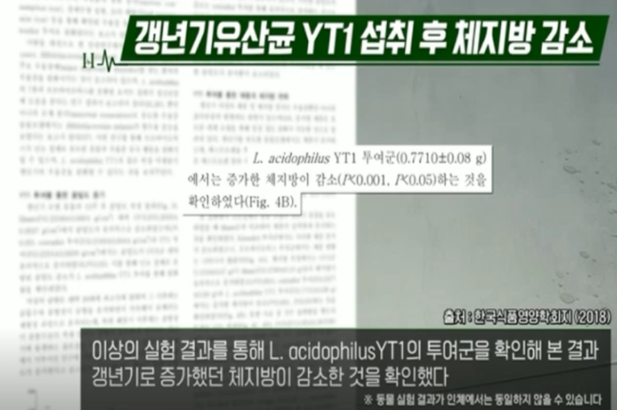 갱년기 유산균 yt1