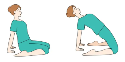 배 볼록 개선 운동